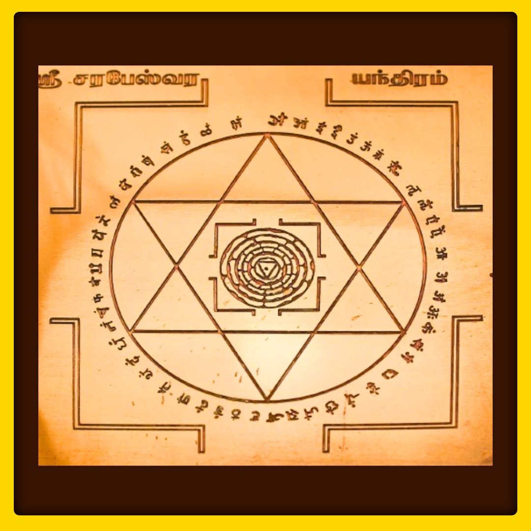 SDRPROD10421 - 1763625008.jpg